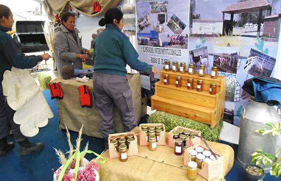 La política de tratamiento para la inclusión social de los internos penitenciarios se mostró en la 70º Expo Rural