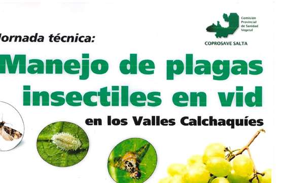 Organizan una jornada sobre plagas y enfermedades de la vid