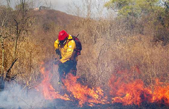 Defensa Civil sofocó un incendio en Colonia Santa Rosa