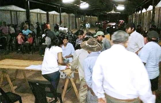 Más de 300 productores recibieron semillas de alfa y maíz