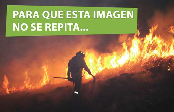 Piden a la población colaboración para evitar incendios forestales