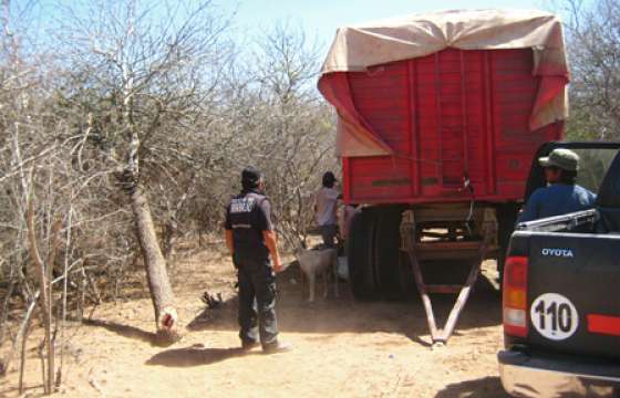 Inspectores localizaron trabajo infantil en una finca de Ballivián
