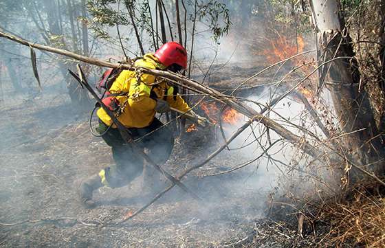 Brigadistas realizaron quema controlada y sofocaron focos de incendio en Capital