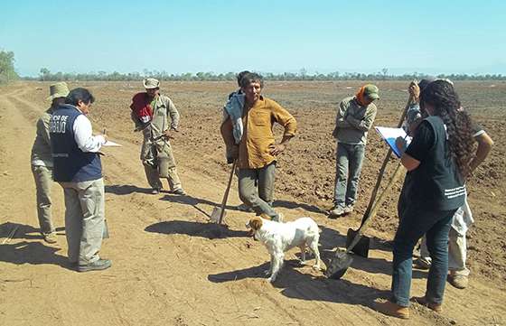 Se constató el trabajo irregular de 17 personas en un desmonte de Las Lajitas