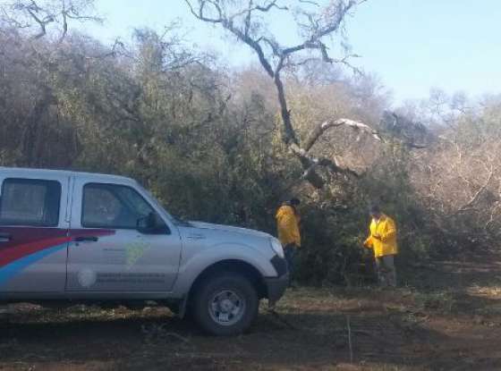 Se paralizó un desmonte de más de 400 hectáreas en Rosario de la Frontera