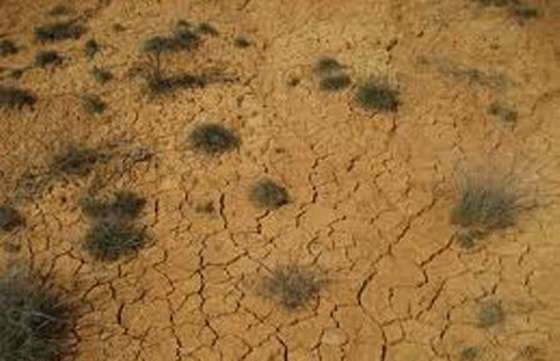 Se extenderá la homologación de la Emergencia Agropecuaria Nacional