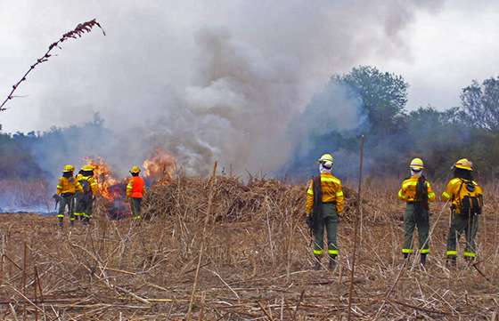 Brigadistas forestales trabajaron con los bomberos voluntarios de General Mosconi