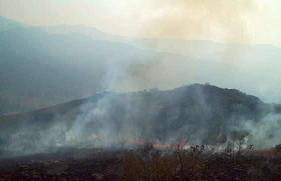 Brigadistas de Defensa Civil extinguieron incendio en La Caldera