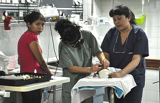 El Hospital Público Materno Infantil recibió una alta acreditación académica de Nación
