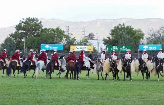 Se realizará en Salta el 108° Concurso Provincial de Caballos Peruanos de Paso