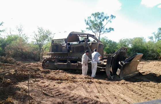 Detectaron un desmonte ilegal y trabajo irregular en dos campos en el sur provincial