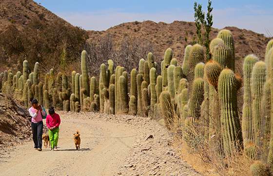 Salta fue reconocida por su compromiso con la calidad turística