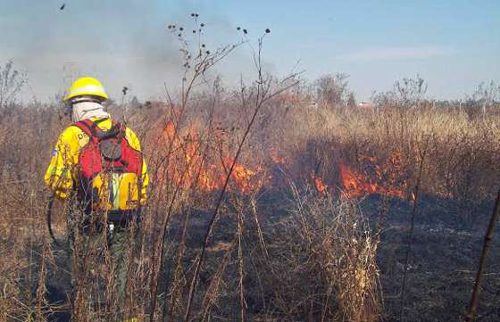 Brigadistas de Incendios Forestales trabajaron en la zona Este de la capital
