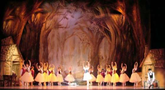 El Ballet Clásico se presentará esta noche en el Teatro Provincial