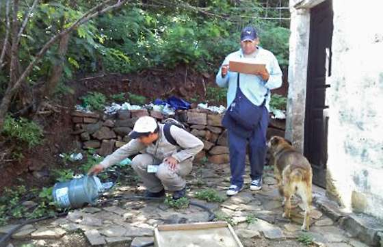En la lucha contra el dengue, 13 mil casas de Capital fueron visitadas por agentes sanitarios