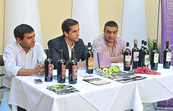 Cafayate será sede de la séptima edición de la Fiesta del Vino Artesanal