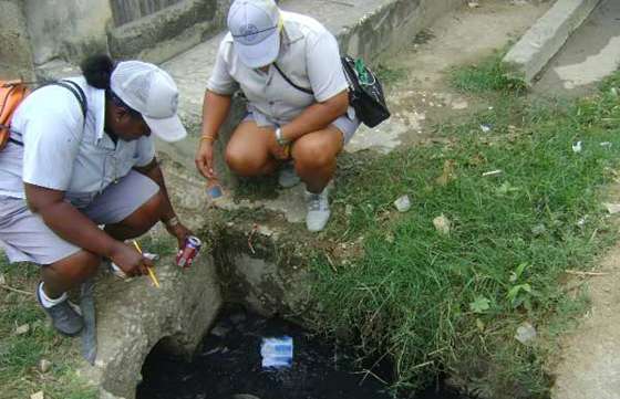 Tomarán muestras de larvas de mosquito Aedes Aegypti en la zona sur de la Capital