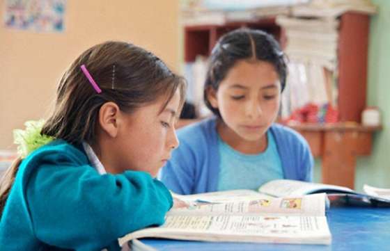 Lectura será el área de trabajo prioritaria en la política educativa salteña
