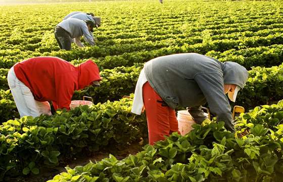 El PRODERI convoca a la presentación de ideas proyectos