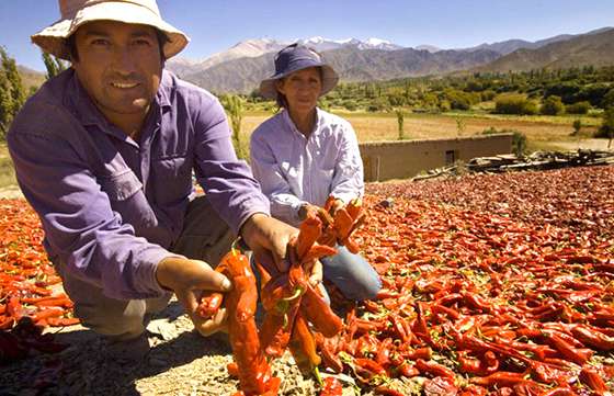 Salta en la “Ruta de las especias”