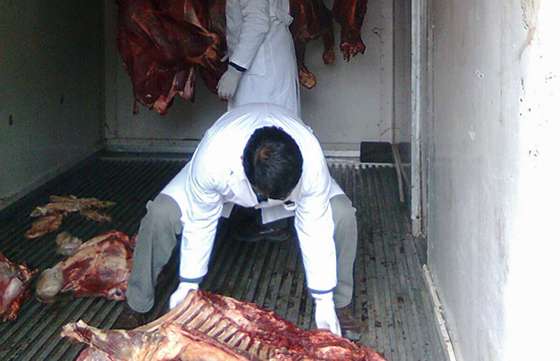En abril se decomisaron 1.180 kilogramos de carne