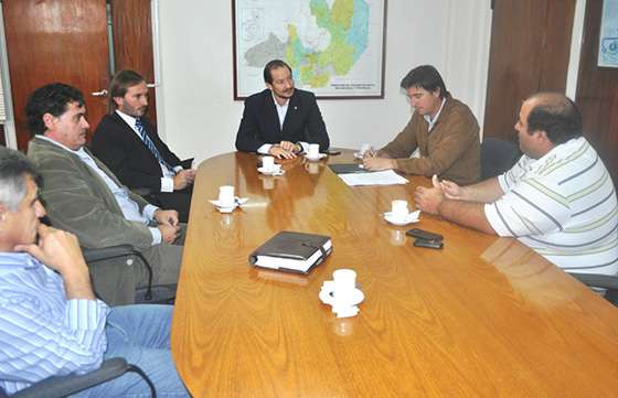 Presentaron avances del proyecto “Industrialización de la Fibra Fina de Camélidos”
