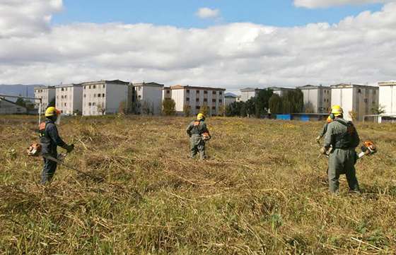 Las cuadrillas de Defensa Civil trabajan en el desmalezamiento de barrios y escuelas de la Capital