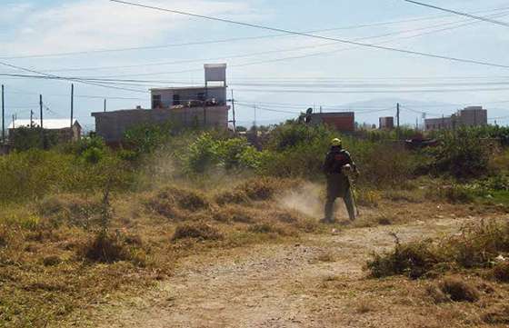 Cuadrillas de brigadistas de Defensa Civil realizan desmalezamientos en diferentes puntos de la ciudad