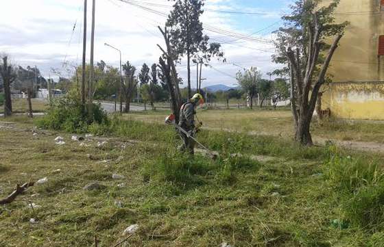 Brigadistas de Defensa Civil desmalezan y podan árboles en barrios de la ciudad de Salta