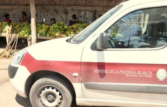 Se refuerza la asistencia de menores en situación de trabajo rescatados en operativo de Güemes