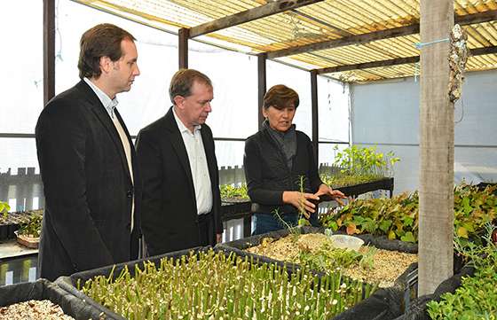 El Gobierno salteño entregó insumos para que floricultores mejoren la producción