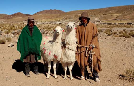 Fueron seleccionados 86 proyectos del segundo llamado del Fondo Ciudadano de Desarrollo Cultural
