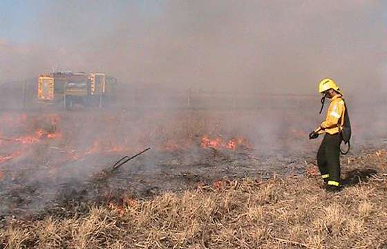 Brigadistas forestales de Defensa Civil continúan combatiendo incendios