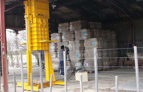 Productores de ovinos cuentan con el primer centro de acopio de lana de la provincia