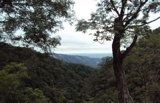 Promueven la creación de una nueva Área Protegida en Salta