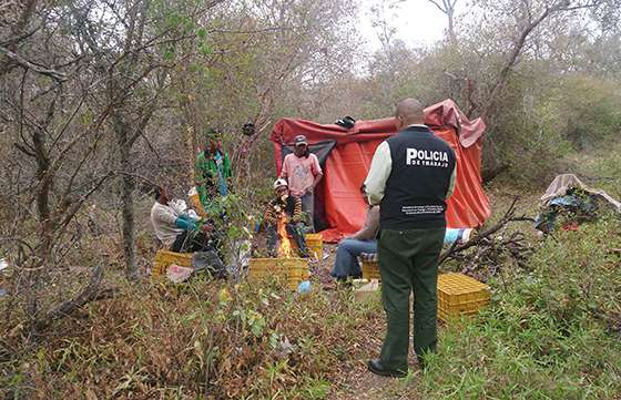 La cartera laboral realizó una nueva denuncia penal por trabajo infantil