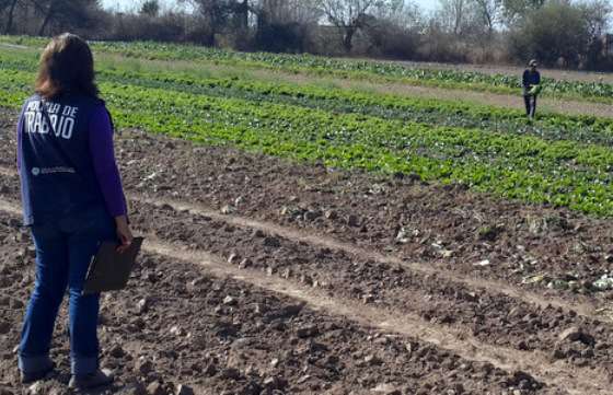 Dos menores que trabajaban en una finca de Cerrillos fueron rescatados por la Policía de Trabajo