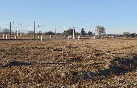 La entrega de lotes de la Provincia se realiza por sorteo público