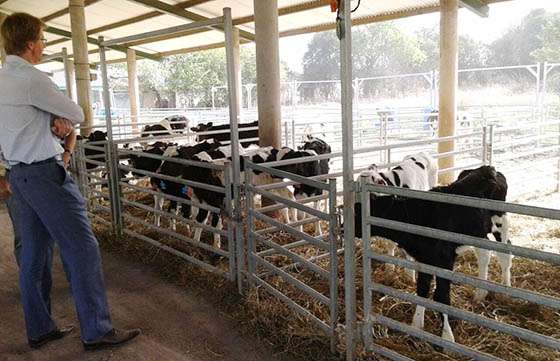 Salta y Nueva Zelanda planifican tareas conjuntas en tambos del Valle de Lerma