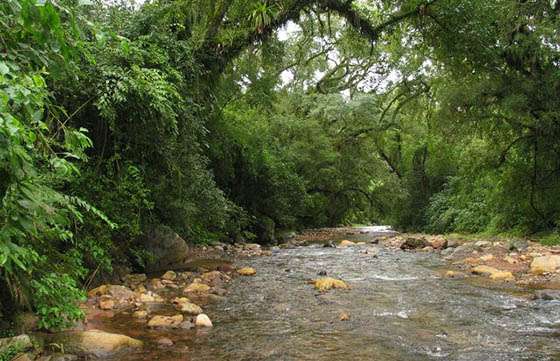 Proyectan trabajos en el parque nacional El Rey