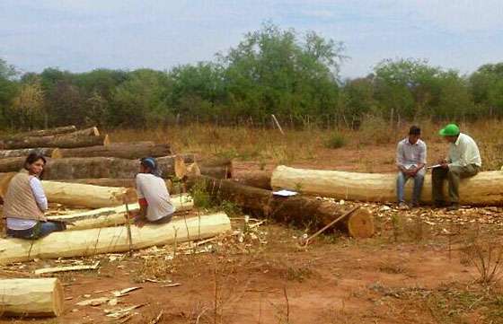 En un nuevo operativo de Trabajo se rescató a dos menores que trabajaban en un aserradero de General Pizarro