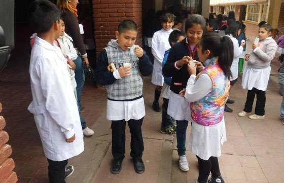 Comerciantes de kioscos en escuelas salteñas serán capacitados en el programa Kioscos Saludables