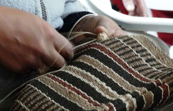 Evalúan proyectos de aprovechamiento sustentable del chaguar en comunidades wichis