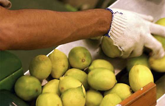Con la mediación de Trabajo se resolvió el conflicto laboral de la frutihortícola de Orán