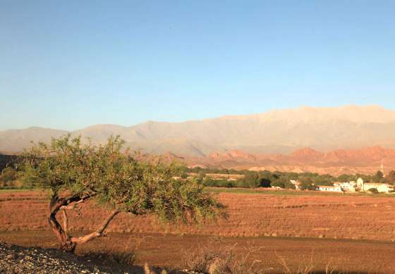 Crean un área de Paisaje Protegido en Molinos