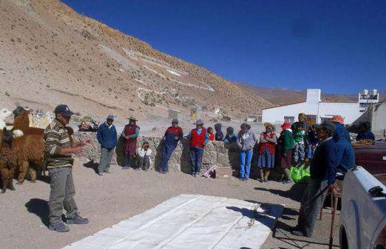Capacitaron a productores sobre esquila y acondicionamiento de fibra de llama