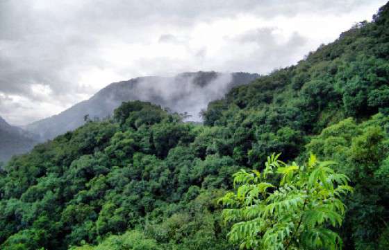 Impulsan estrategias de conservación en el refugio provincial de Dragones y corredor Yungas-Chaco