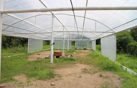 Realizan trabajos para optimizar el vivero forestal y el cuidado del cerro San Bernardo