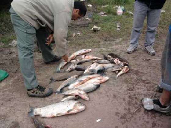 Realizan fuertes controles de pesca en ríos y embalses de la provincia