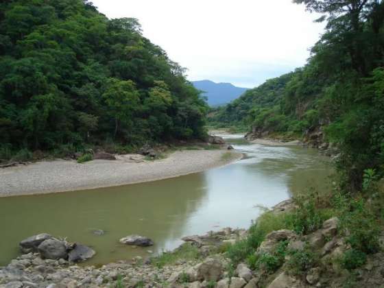 Los ríos Lipeo y Pescado se encuentran habilitados para la pesca deportiva
